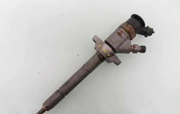 Peugeot Partner Fuel injector 0445110311