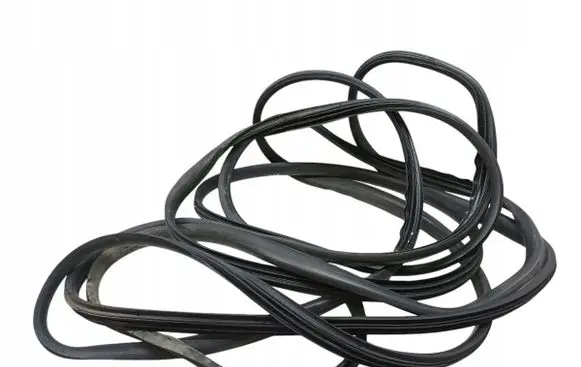 Renault Megane III Rubber seal front door (on door) 