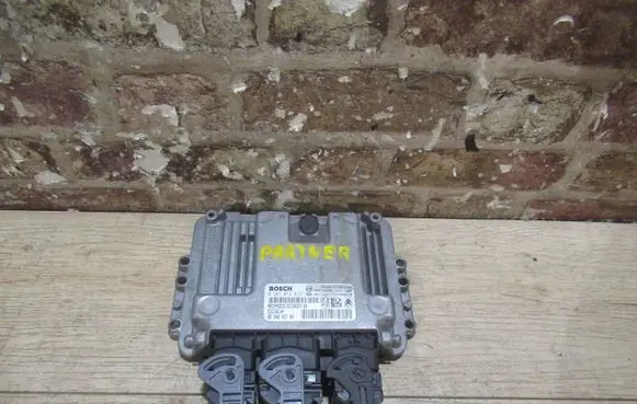 Peugeot Partner Other control units/modules 9664843780