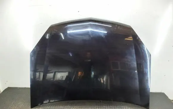 Opel Signum Engine bonnet/hood
