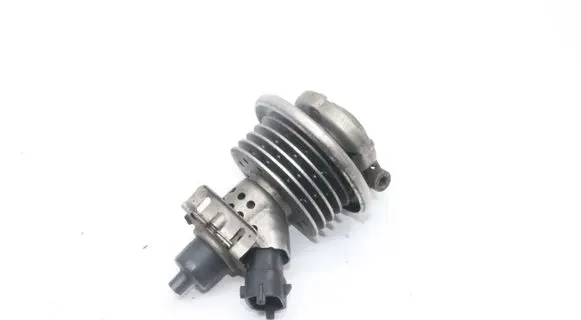 Volkswagen Sharan AdBlue injector 3C0131113C