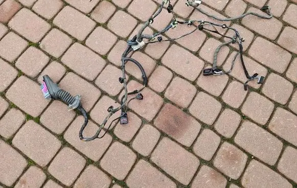 Opel Insignia A Front door wiring loom 13312584