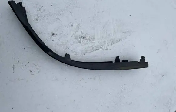 Rear/tail light trim molding
