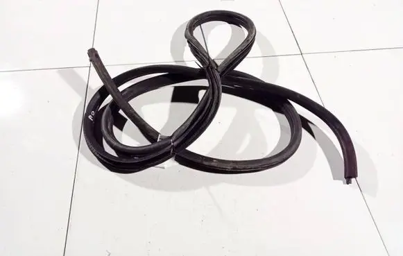 Renault Scenic I Rubber seal front coupe door 