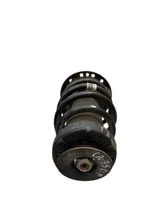 Opel Zafira C Front shock absorber with coil spring 13474022