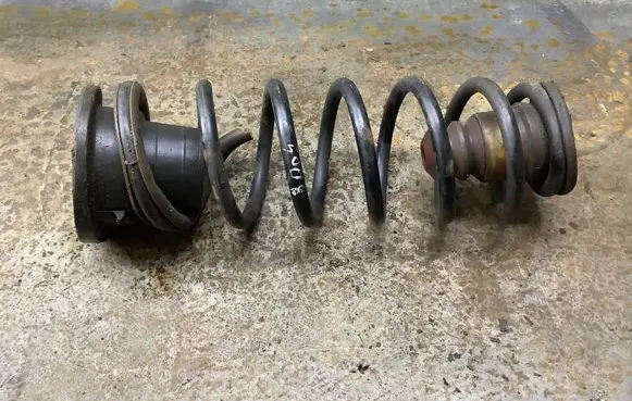 Rear coil spring