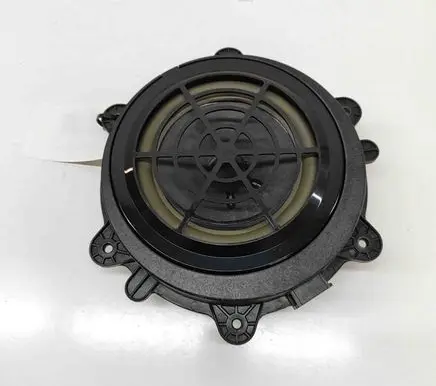 Rear door speaker