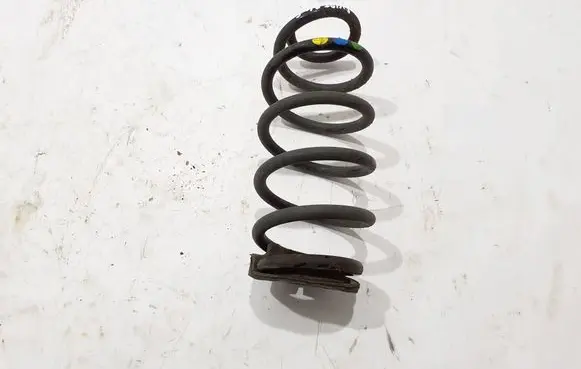 Dacia Duster II Rear coil spring 550206115R