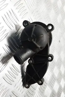 Thermostat/thermostat housing