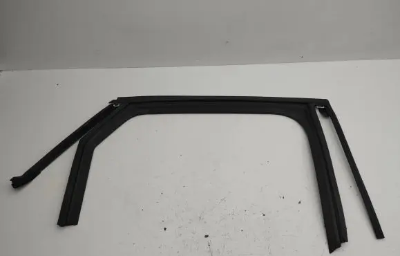 Citroen C4 III e-C4 Rubber seal rear door window/glass 