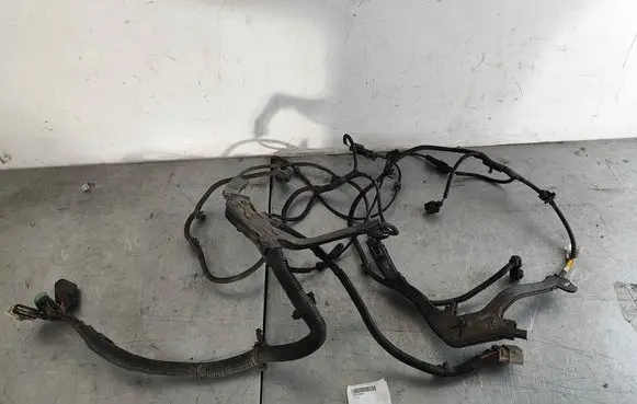 Tesla Model S Other wiring loom 200443005A
