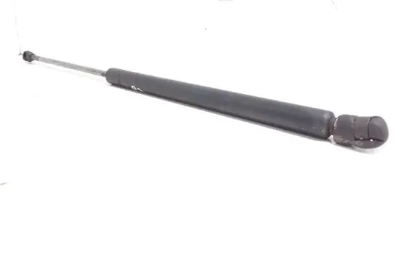 Front bonnet/hood damper/strut