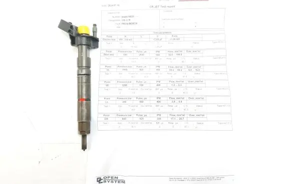 Mercedes-Benz Sprinter W906 Fuel injector 0445116028 A6420701287
