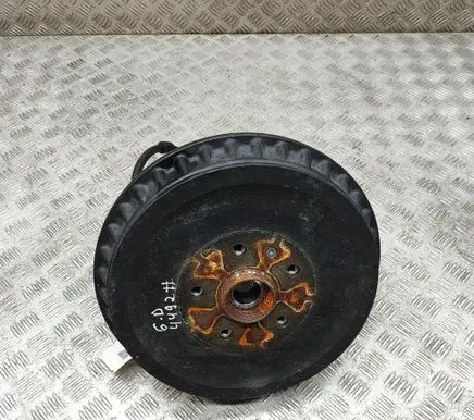 Cupra Born Rear wheel hub 1EA609076 1EA505436M