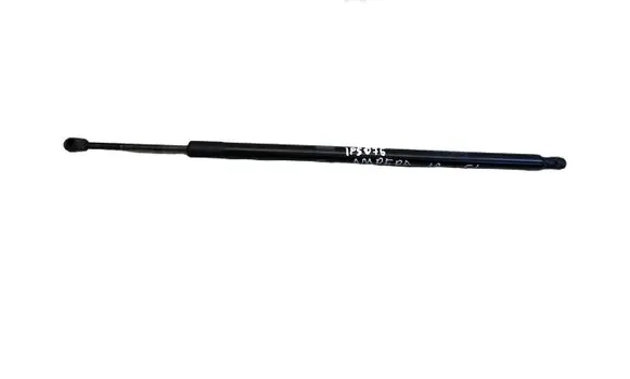 Opel Ampera Tailgate/trunk strut/damper 23282827 402495 1010N