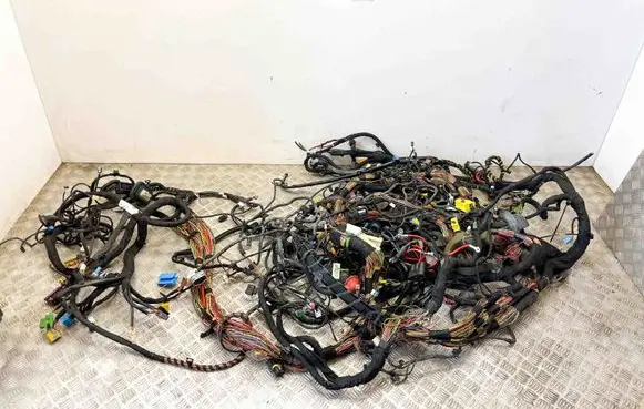 Other wiring loom