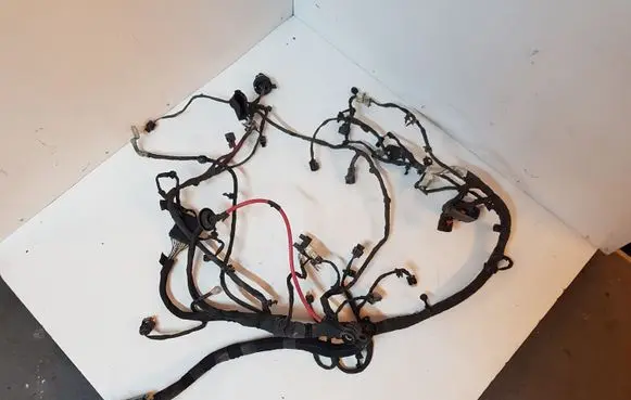 Engine installation wiring loom