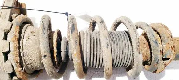 Nissan Primera Rear coil spring 