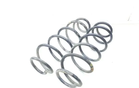 Rear coil spring