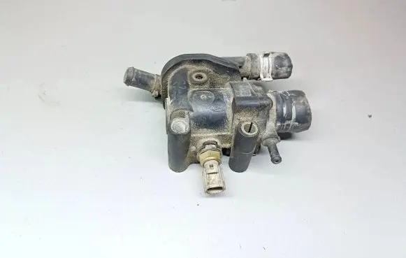 Thermostat/thermostat housing