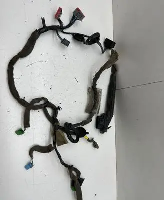 Front door wiring loom