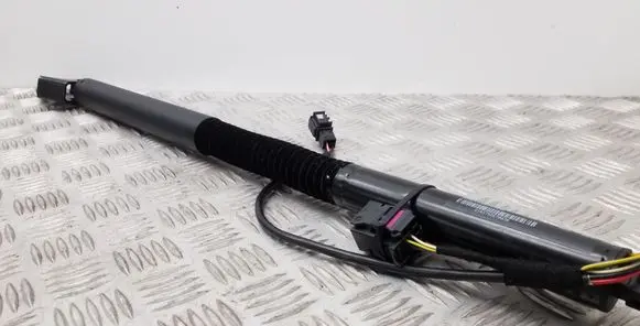 Tailgate/trunk strut/damper
