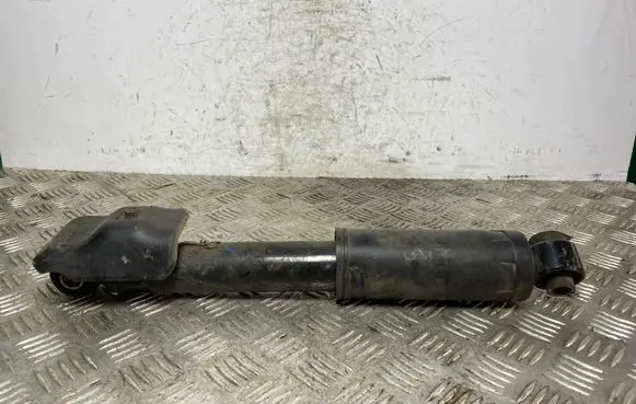 Hyundai Santa Fe Rear shock absorber/damper
