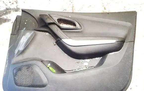 Renault Kadjar Front door card panel trim 156067391