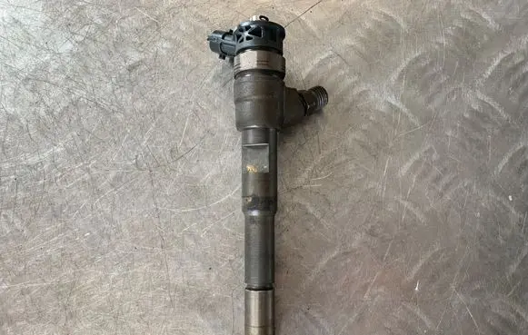 Renault Kangoo II Fuel injector 8201108033 0445110485 H8201108033