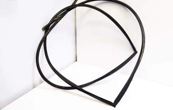 Citroen Xsara Picasso Rubber seal front coupe door window 