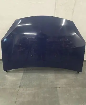 Dacia Sandero Engine bonnet/hood 