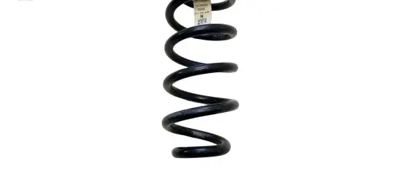 Ford Escape IV Rear coil spring LX615560 LX615560NAD L52302020