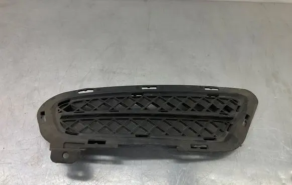 BMW Z4 E89 Front bumper lower grill 7203799