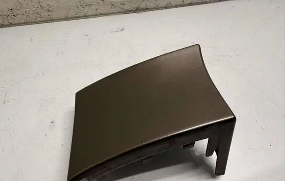 Rear/tail light trim molding