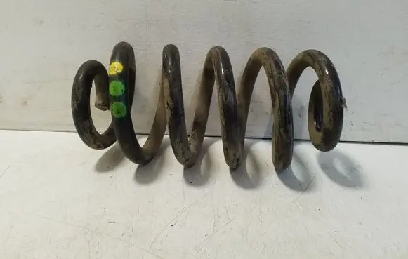 Rear coil spring