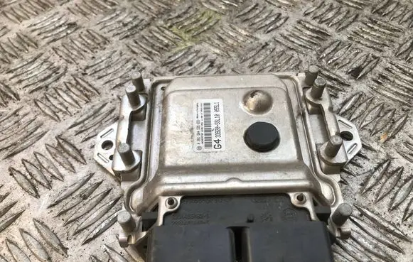 Suzuki SX4 Engine control unit/module 3392055L10