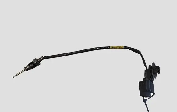 Renault Trafic III (X82) Exhaust gas temperature sensor