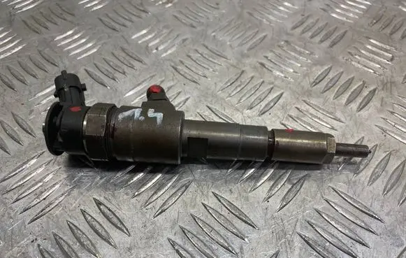 Citroen C3 Fuel injector 0445110252