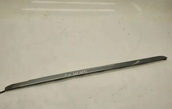 BMW X6 F16 Door glass trim 