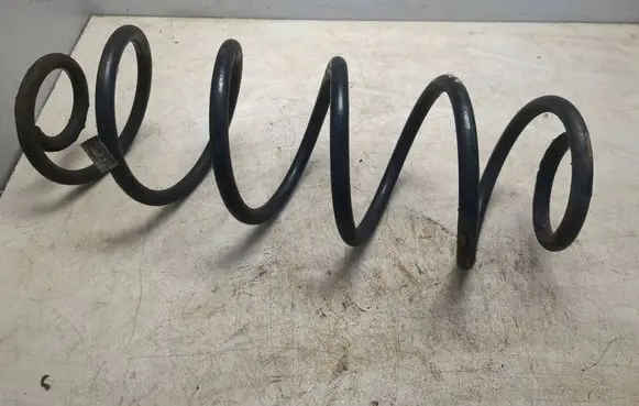 Rear coil spring