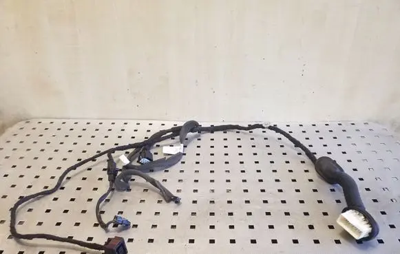 Rear door wiring loom