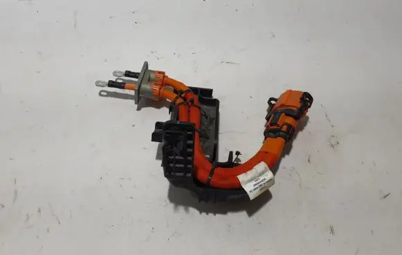 Dacia Spring Other wiring loom 296954420R