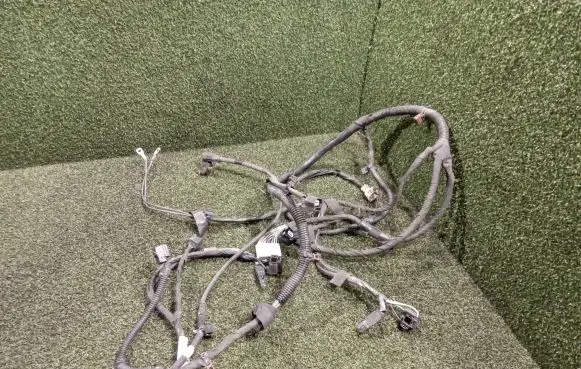 Renault Kangoo II Other wiring loom 240123117R