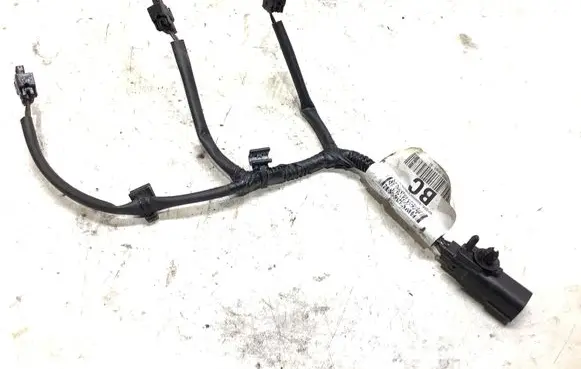 Ford C-MAX II Fuel injector wires CM5G9F666