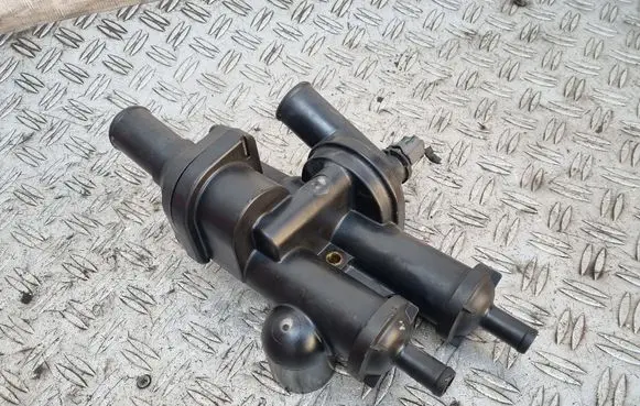 Thermostat/thermostat housing