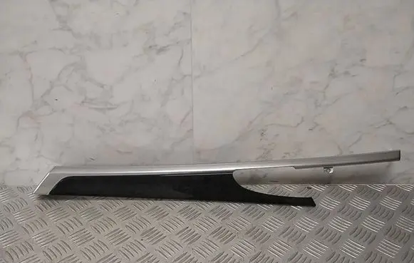 Porsche Panamera (970) Rear door card trim 97055538403