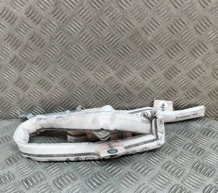 Jaguar I-Pace Roof airbag J9D314K160BB