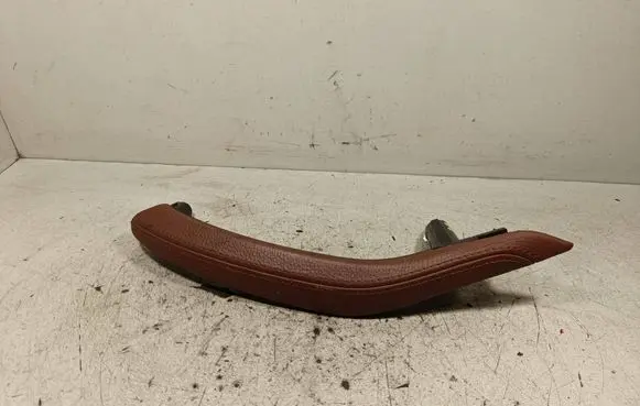 BMW X5 F15 Rear door handle trim 15P3071