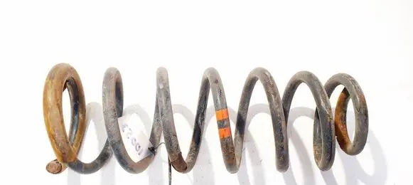 Fiat Scudo Rear coil spring