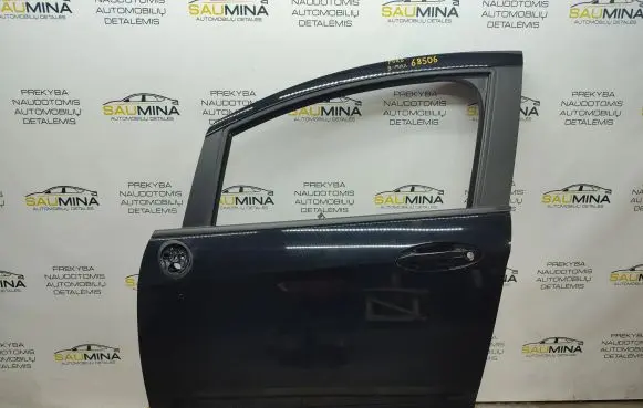 Ford B-MAX Front door